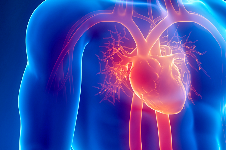 Ateneo de Cardiología - Puesta al día: Terapia de  Resincronización Cardíaca