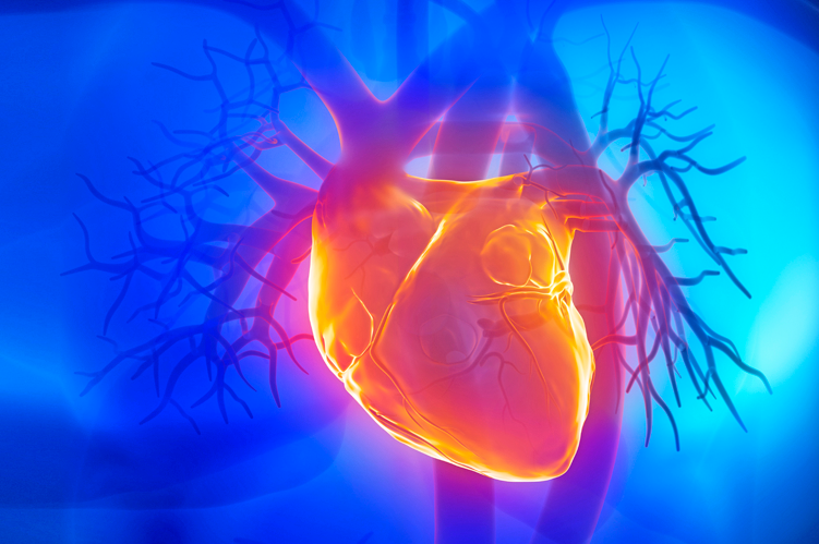 Ateneo de Cardiología - Caso Clínico: Hibernación Miocárdica