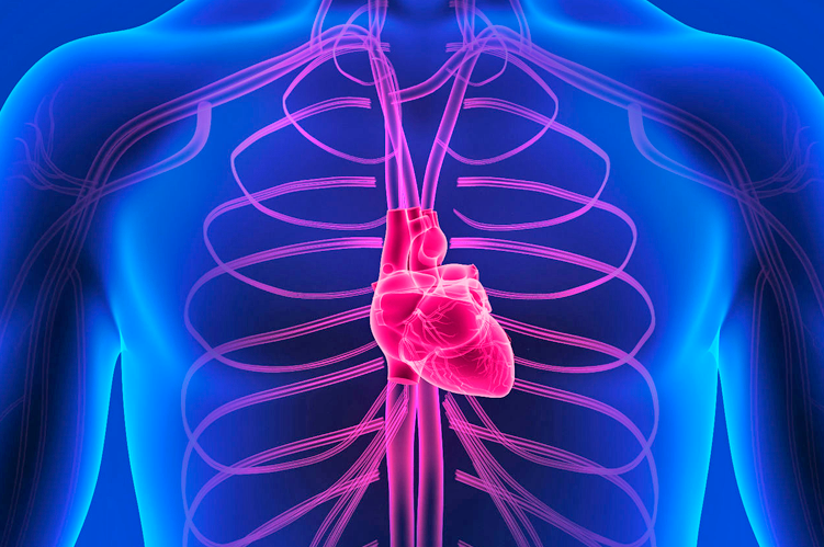 Ateneo de Cardiología - Metaanálisis  de Amiodarona  para Prevención  de FA en Cirugía  Cardíaca