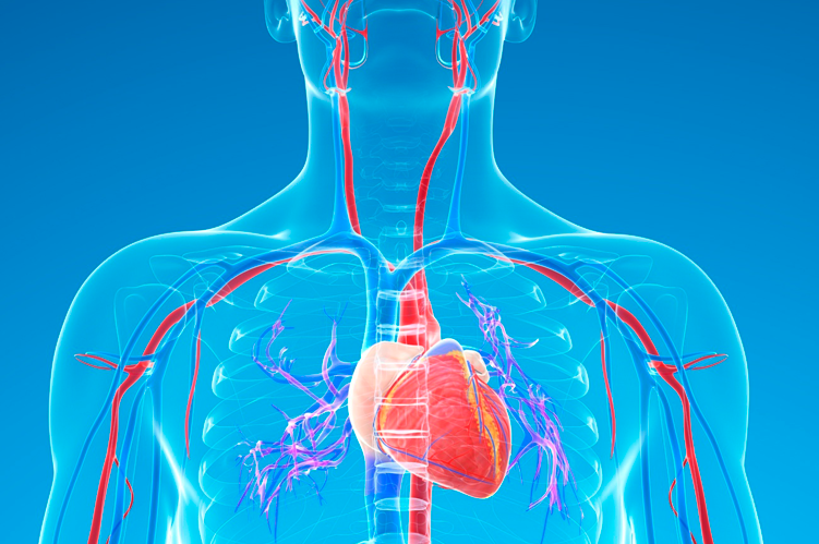 Ateneo de Cardiología - Puesta al día: Enfermedad Carotídea