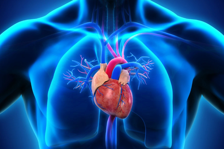 Ateneo Central Online | Hipertensión pulmonar tromboembólica crónica