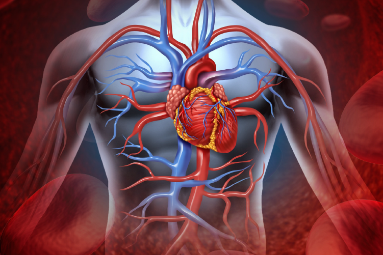 Ateneo Central Online | Cardiotoxicidad por antraciclinas