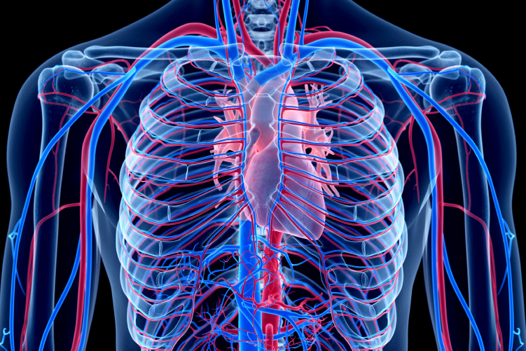 Ateneo Central Online | Patología quirúrgica de la aorta torácica