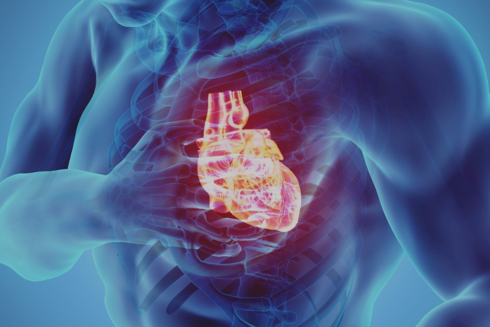 Insuficiencia cardíaca: diferentes perfiles, una solución.