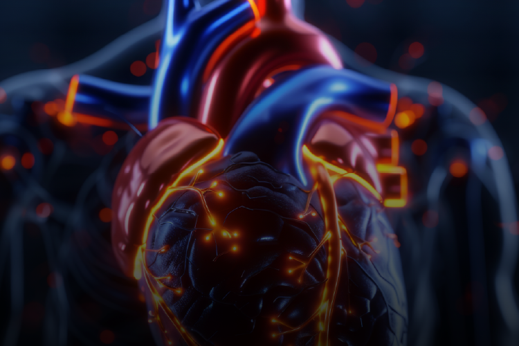 Presentación de abstracts para el Congreso de la Federación Argentina de Cardiología